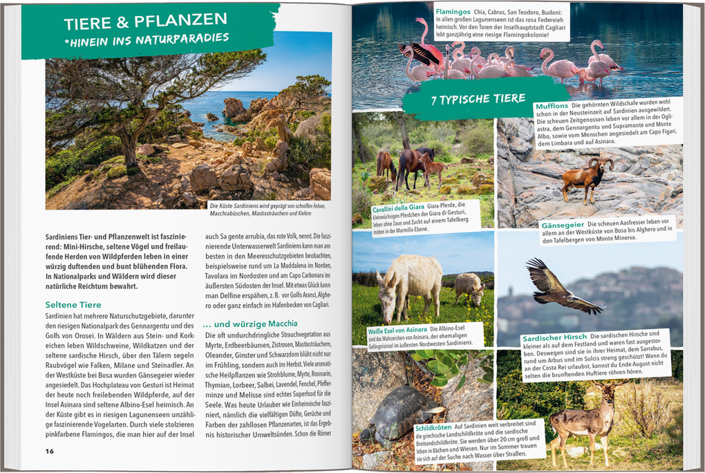 Weitere Ansicht: MARCO POLO OUTDOOR GUIDE Reiseführer Sardinien | Timo Lutz