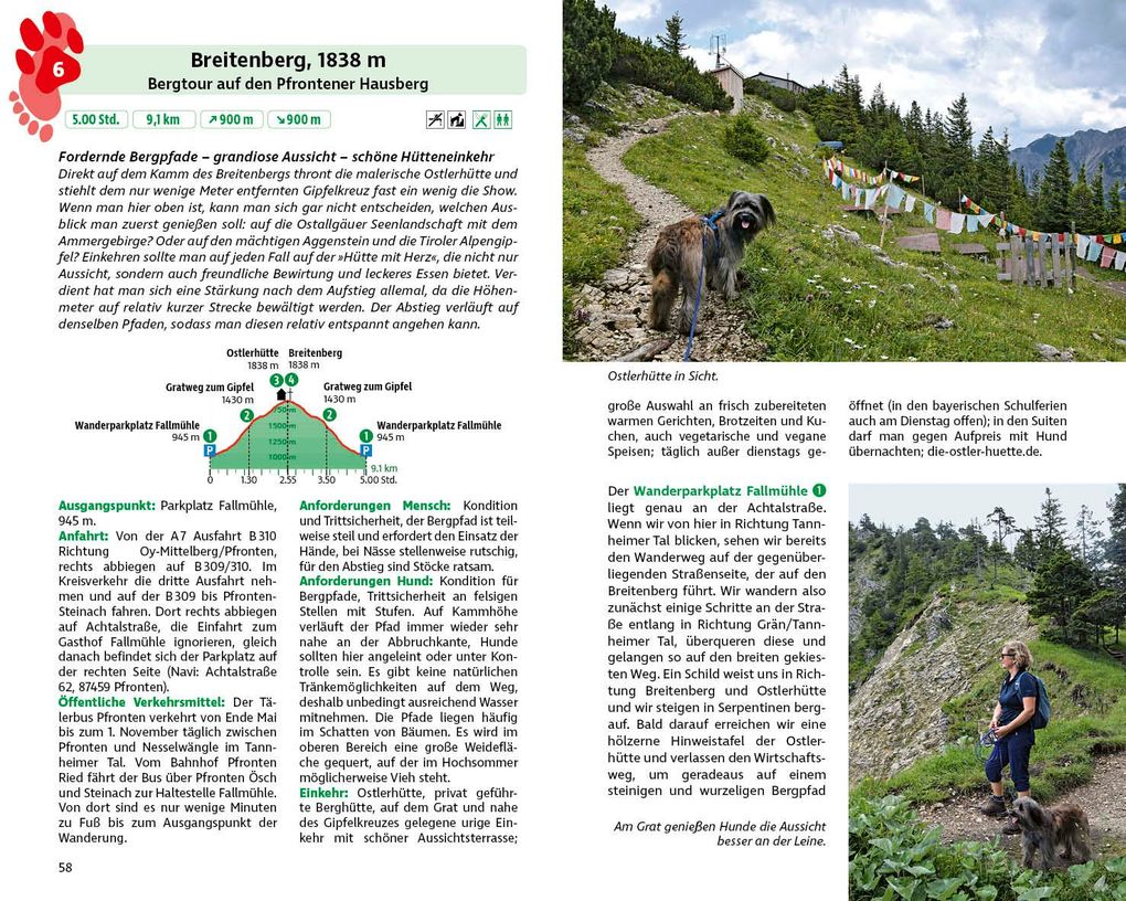 Weitere Ansicht: ROTHER Wanderbuch Wandern mit Hund Allgäu. mit Tannheimer Tal und Kleinwalsertal. 40 Vierbeiner-Touren | Petra Knobling