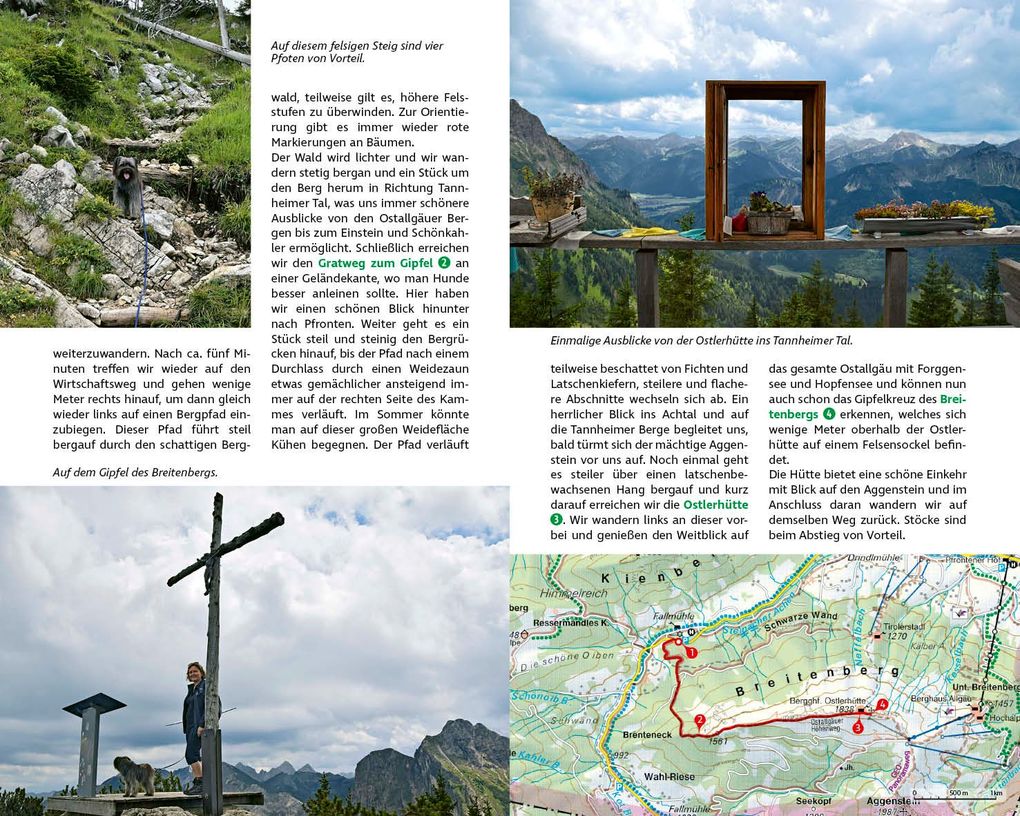 Weitere Ansicht: ROTHER Wanderbuch Wandern mit Hund Allgäu. mit Tannheimer Tal und Kleinwalsertal. 40 Vierbeiner-Touren | Petra Knobling