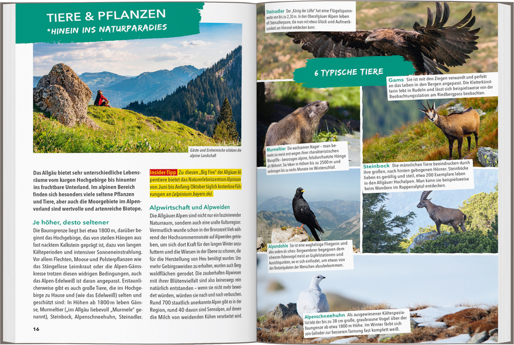 Weitere Ansicht: MARCO POLO OUTDOOR GUIDE Reiseführer Allgäu | Barbara Kettl-Römer