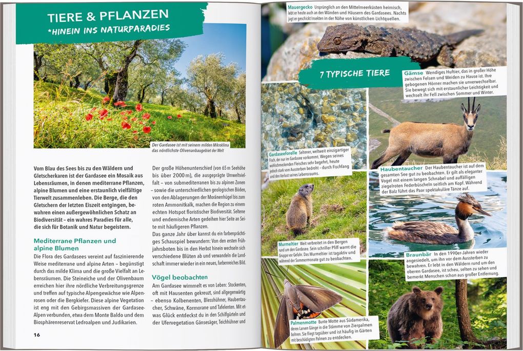 Weitere Ansicht: MARCO POLO OUTDOOR GUIDE Reiseführer Gardasee | Angela Trawoeger