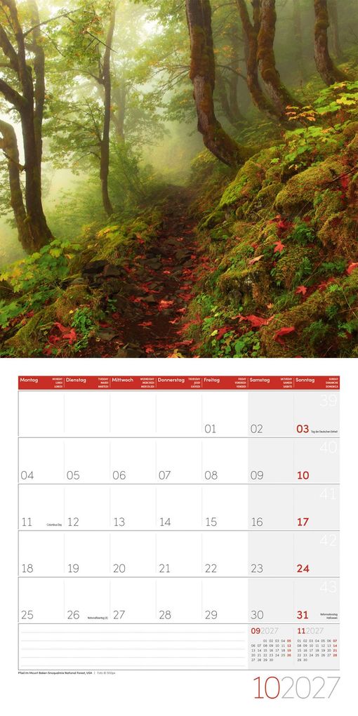 Weitere Ansicht: Traumpfade Kalender 2027 - 30x30 - Art12 | Ackermann Kunstverlag GmbH