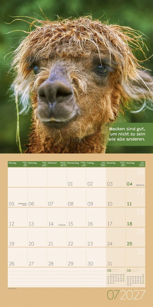 Weitere Ansicht: No Drama, Lama Kalender 2027 - 30x30 - Art12 | Ackermann Kunstverlag GmbH
