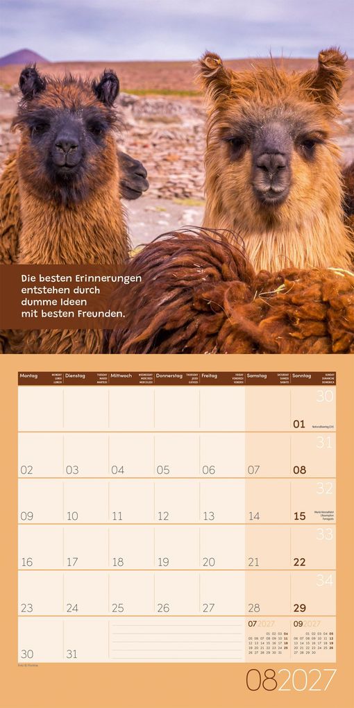 Weitere Ansicht: No Drama, Lama Kalender 2027 - 30x30 - Art12 | Ackermann Kunstverlag GmbH
