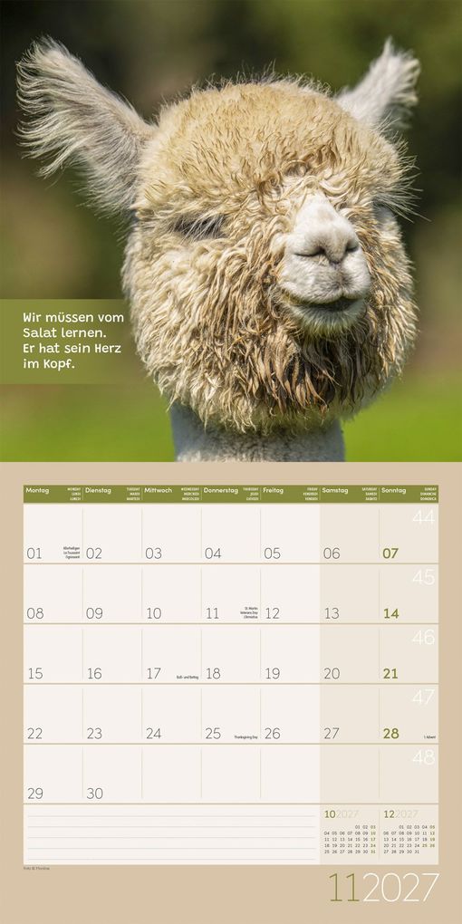 Weitere Ansicht: No Drama, Lama Kalender 2027 - 30x30 - Art12 | Ackermann Kunstverlag GmbH