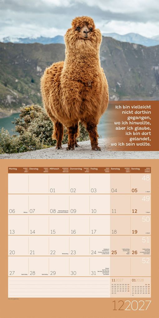 Weitere Ansicht: No Drama, Lama Kalender 2027 - 30x30 - Art12 | Ackermann Kunstverlag GmbH