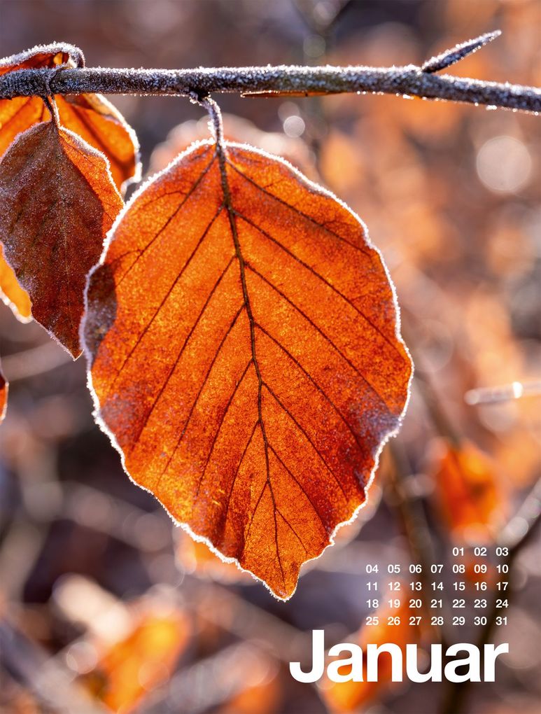Weitere Ansicht: Frühling, Sommer, Herbst & Winter Kalender 2027 | Ackermann Kunstverlag GmbH
