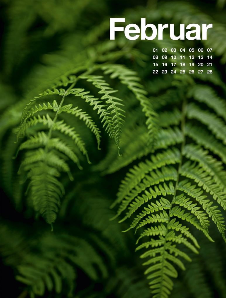 Weitere Ansicht: Frühling, Sommer, Herbst & Winter Kalender 2027 | Ackermann Kunstverlag GmbH