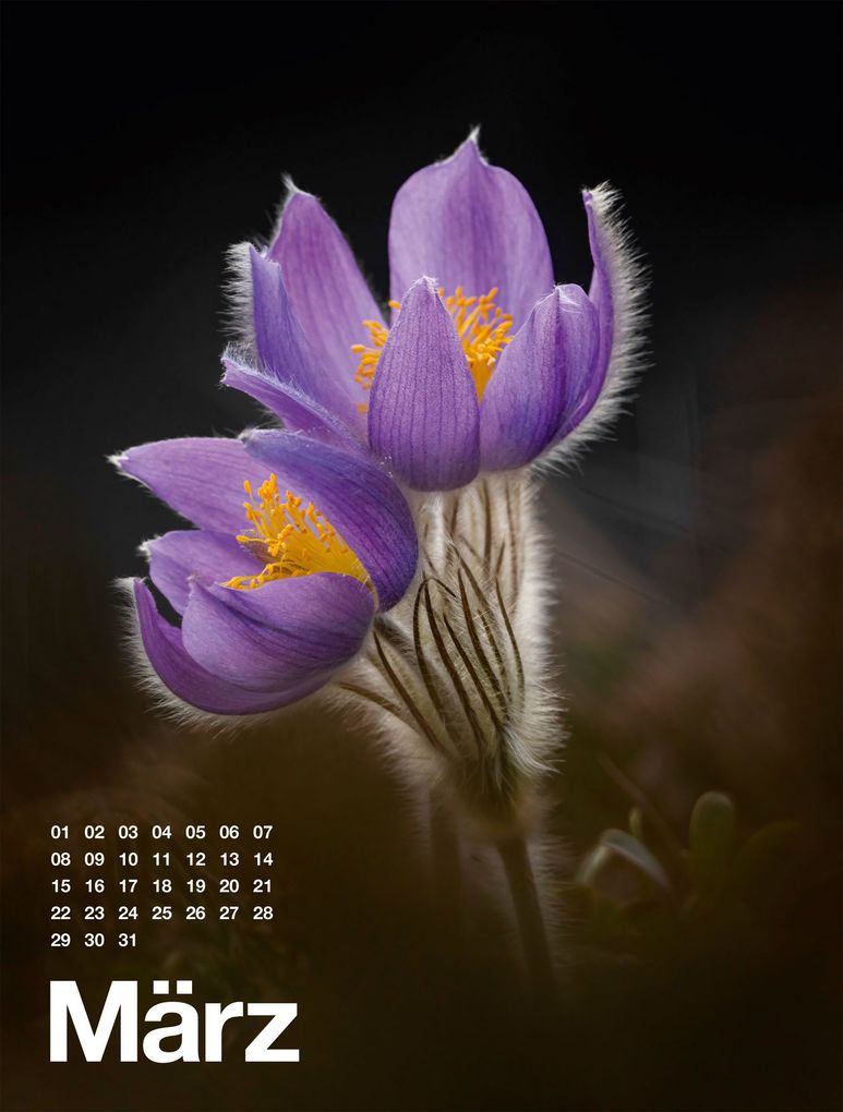 Weitere Ansicht: Frühling, Sommer, Herbst & Winter Kalender 2027 | Ackermann Kunstverlag GmbH