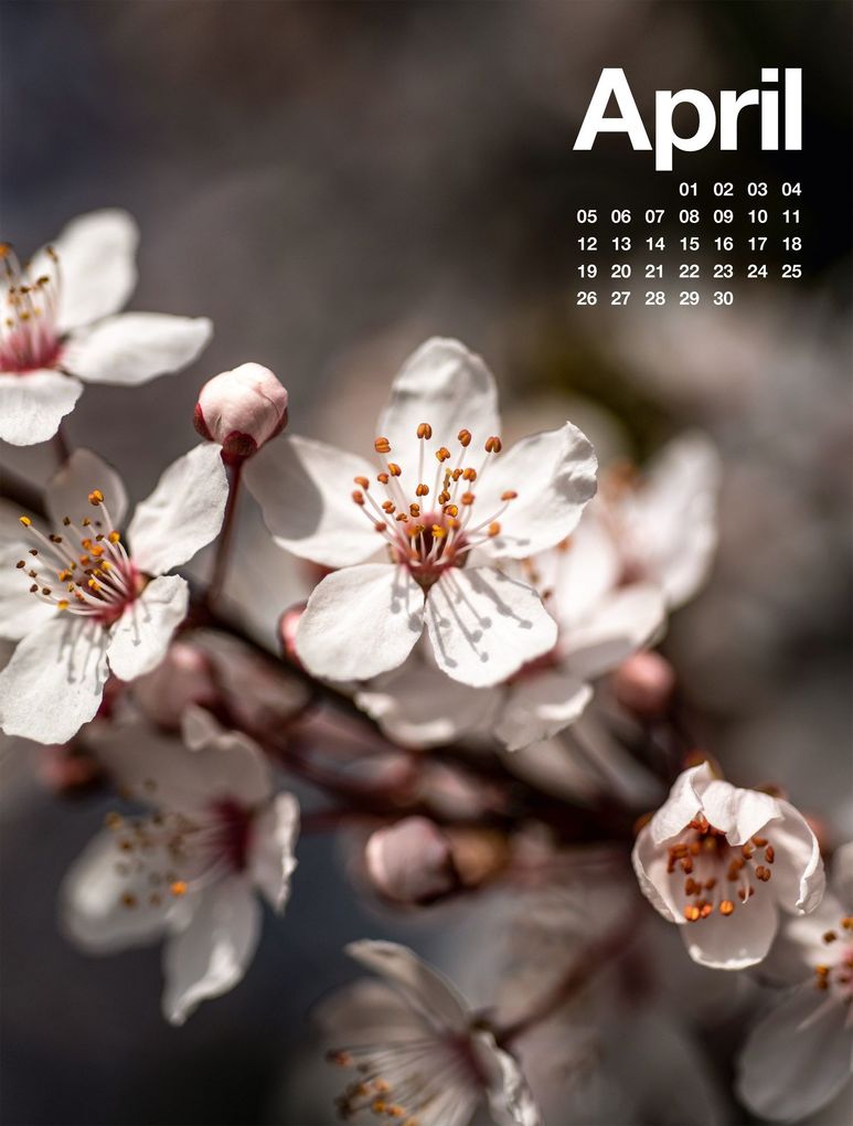 Weitere Ansicht: Frühling, Sommer, Herbst & Winter Kalender 2027 | Ackermann Kunstverlag GmbH