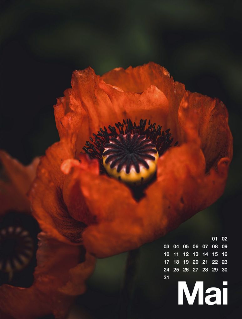 Weitere Ansicht: Frühling, Sommer, Herbst & Winter Kalender 2027 | Ackermann Kunstverlag GmbH