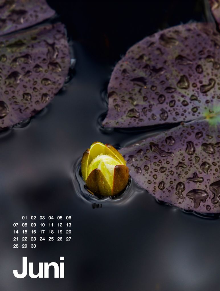 Weitere Ansicht: Frühling, Sommer, Herbst & Winter Kalender 2027 | Ackermann Kunstverlag GmbH