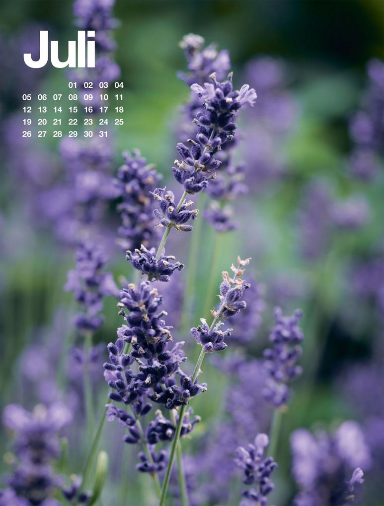 Weitere Ansicht: Frühling, Sommer, Herbst & Winter Kalender 2027 | Ackermann Kunstverlag GmbH