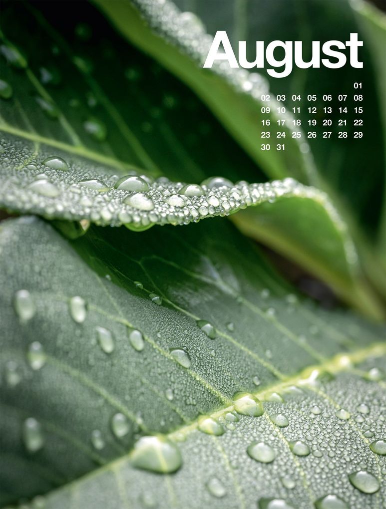 Weitere Ansicht: Frühling, Sommer, Herbst & Winter Kalender 2027 | Ackermann Kunstverlag GmbH