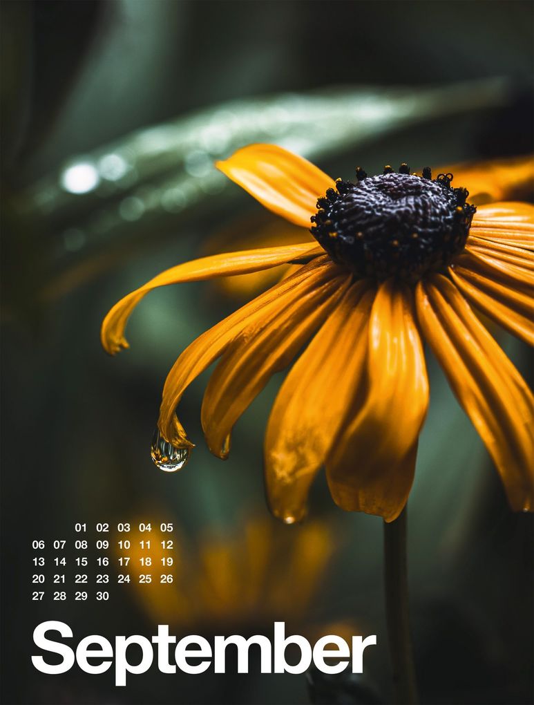 Weitere Ansicht: Frühling, Sommer, Herbst & Winter Kalender 2027 | Ackermann Kunstverlag GmbH
