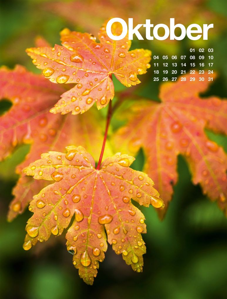 Weitere Ansicht: Frühling, Sommer, Herbst & Winter Kalender 2027 | Ackermann Kunstverlag GmbH