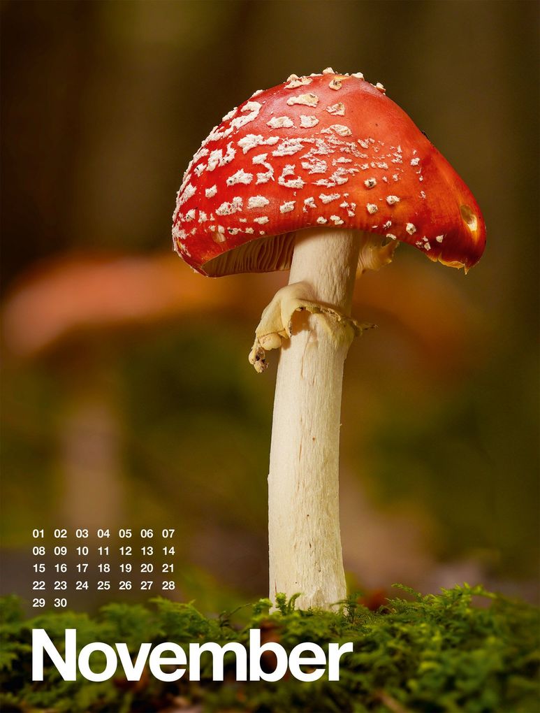 Weitere Ansicht: Frühling, Sommer, Herbst & Winter Kalender 2027 | Ackermann Kunstverlag GmbH
