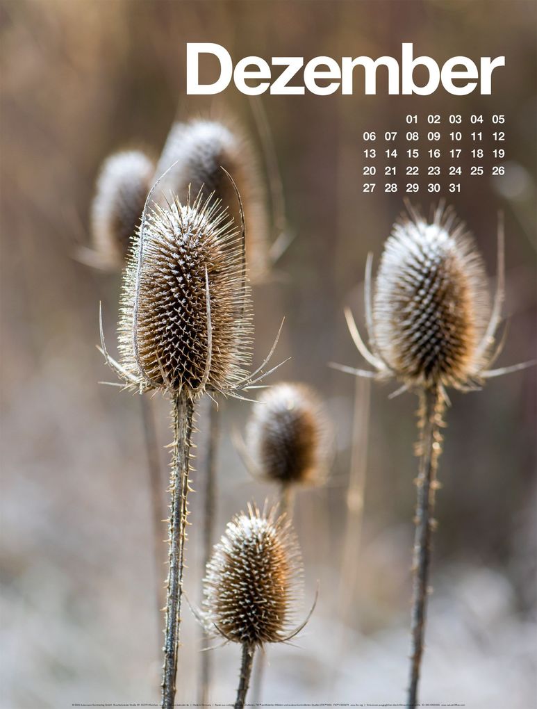 Weitere Ansicht: Frühling, Sommer, Herbst & Winter Kalender 2027 | Ackermann Kunstverlag GmbH