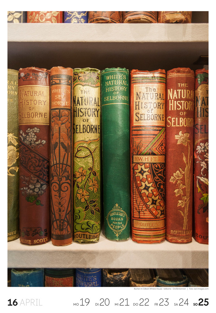 Weitere Ansicht: Lesen Wochenkalender 2027 | Ackermann Kunstverlag GmbH