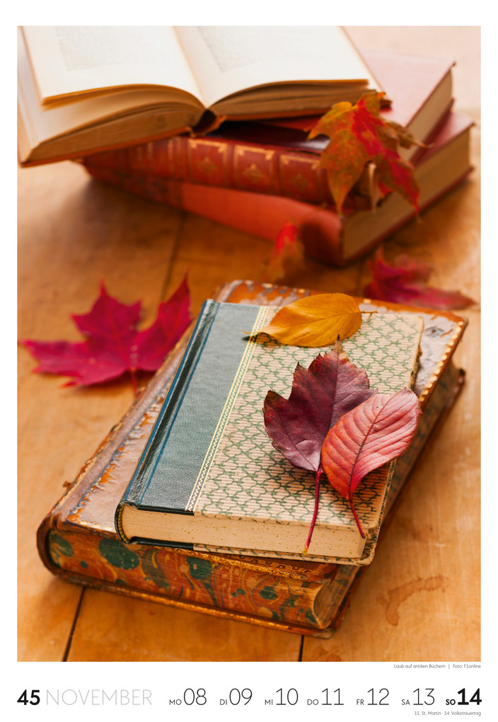 Weitere Ansicht: Lesen Wochenkalender 2027 | Ackermann Kunstverlag GmbH