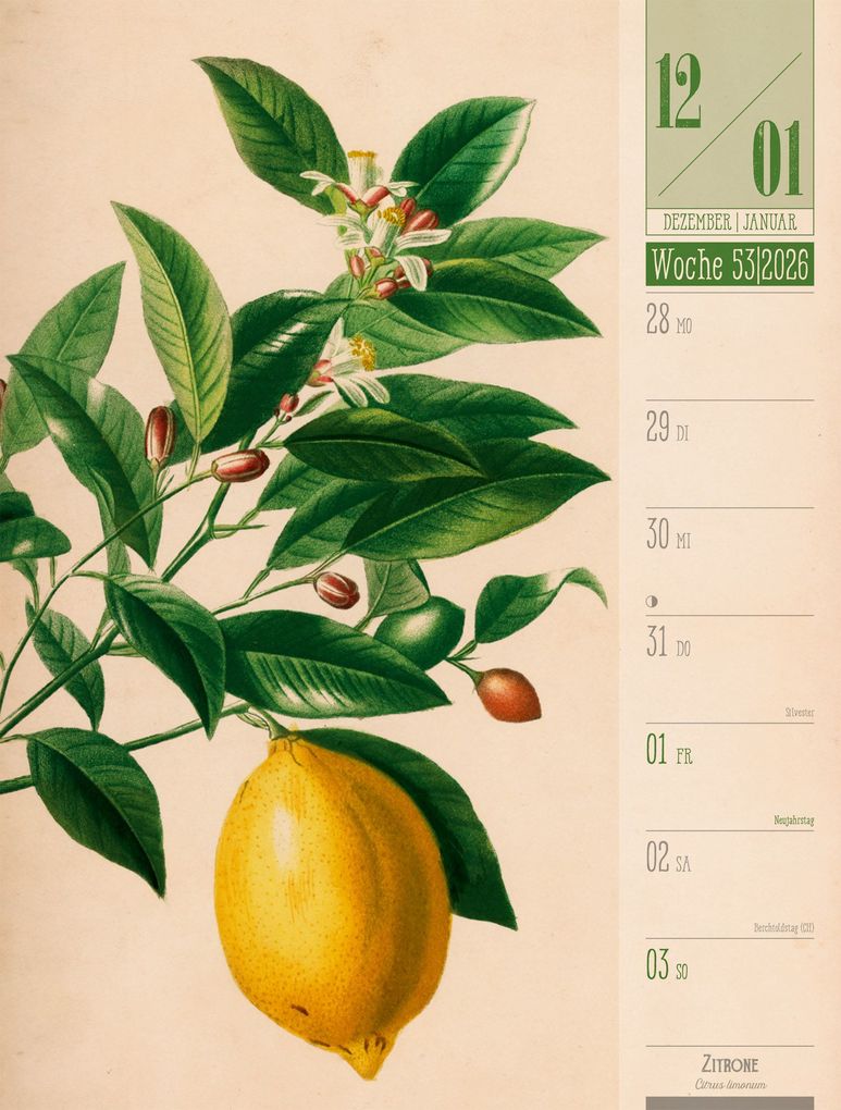 Weitere Ansicht: Culinarium Wochenplaner Kalender 2027 | Küche, Kräuter, Kurioses | Ackermann Kunstverlag GmbH