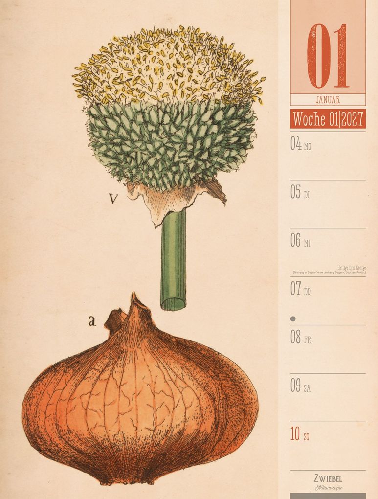 Weitere Ansicht: Culinarium Wochenplaner Kalender 2027 | Küche, Kräuter, Kurioses | Ackermann Kunstverlag GmbH