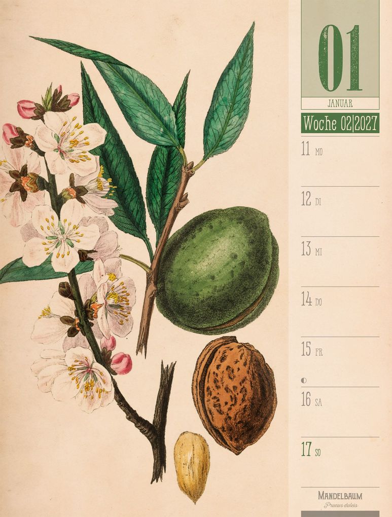Weitere Ansicht: Culinarium Wochenplaner Kalender 2027 | Küche, Kräuter, Kurioses | Ackermann Kunstverlag GmbH