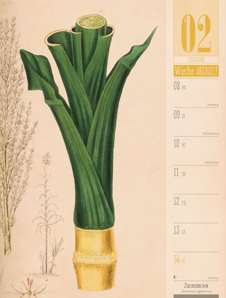 Weitere Ansicht: Culinarium Wochenplaner Kalender 2027 | Küche, Kräuter, Kurioses | Ackermann Kunstverlag GmbH