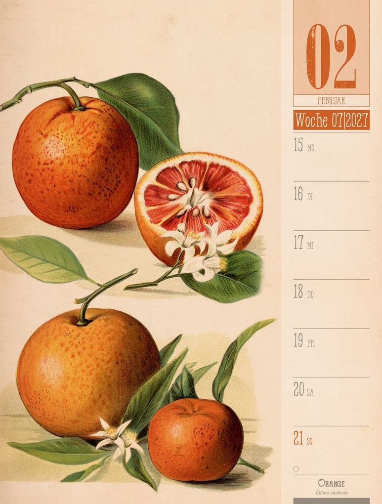 Weitere Ansicht: Culinarium Wochenplaner Kalender 2027 | Küche, Kräuter, Kurioses | Ackermann Kunstverlag GmbH