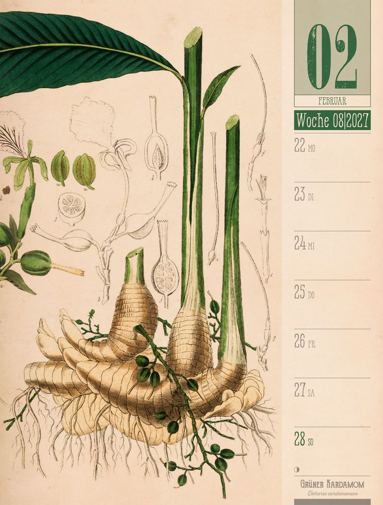 Weitere Ansicht: Culinarium Wochenplaner Kalender 2027 | Küche, Kräuter, Kurioses | Ackermann Kunstverlag GmbH