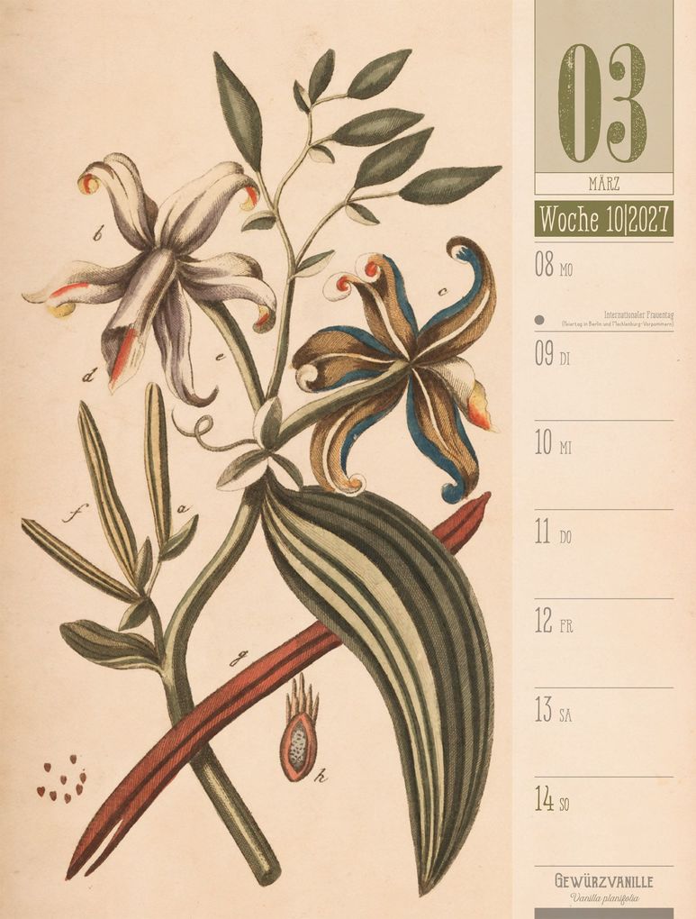 Weitere Ansicht: Culinarium Wochenplaner Kalender 2027 | Küche, Kräuter, Kurioses | Ackermann Kunstverlag GmbH