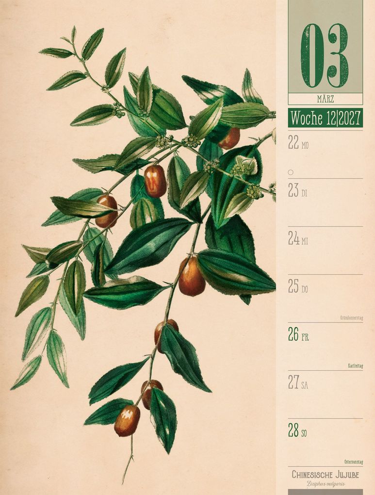 Weitere Ansicht: Culinarium Wochenplaner Kalender 2027 | Küche, Kräuter, Kurioses | Ackermann Kunstverlag GmbH