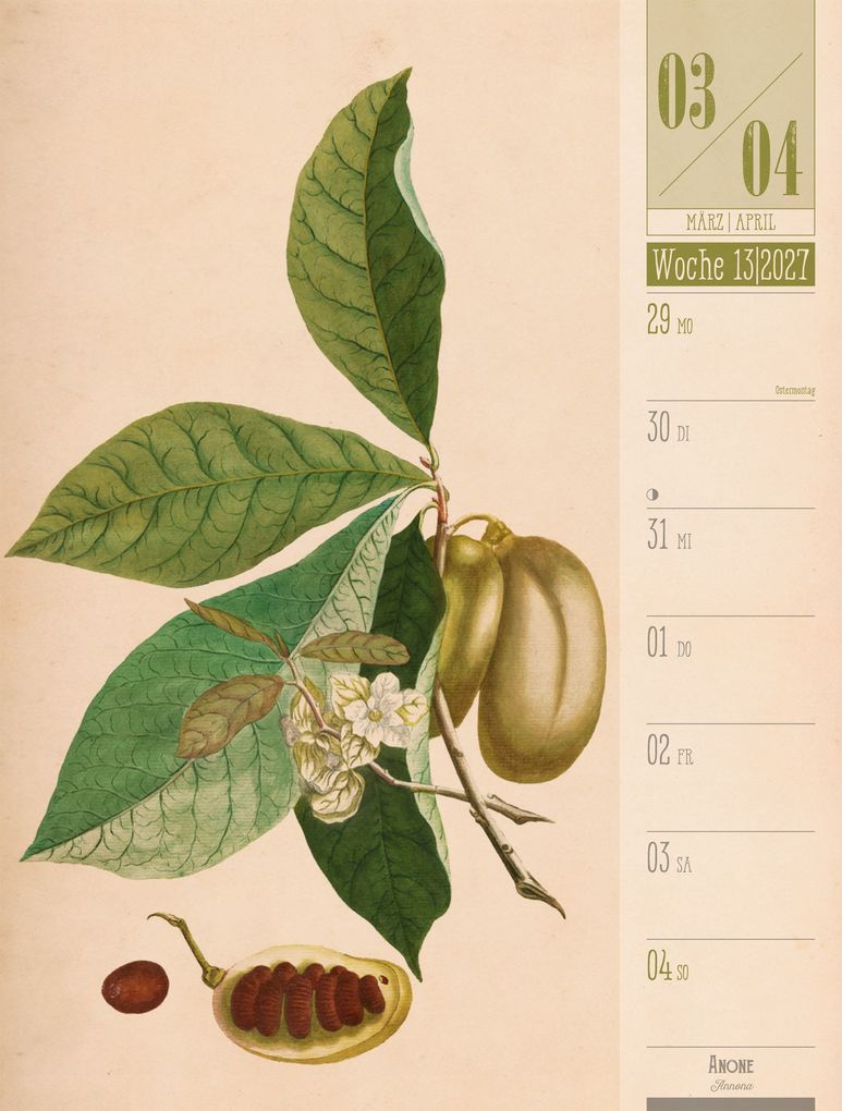 Weitere Ansicht: Culinarium Wochenplaner Kalender 2027 | Küche, Kräuter, Kurioses | Ackermann Kunstverlag GmbH