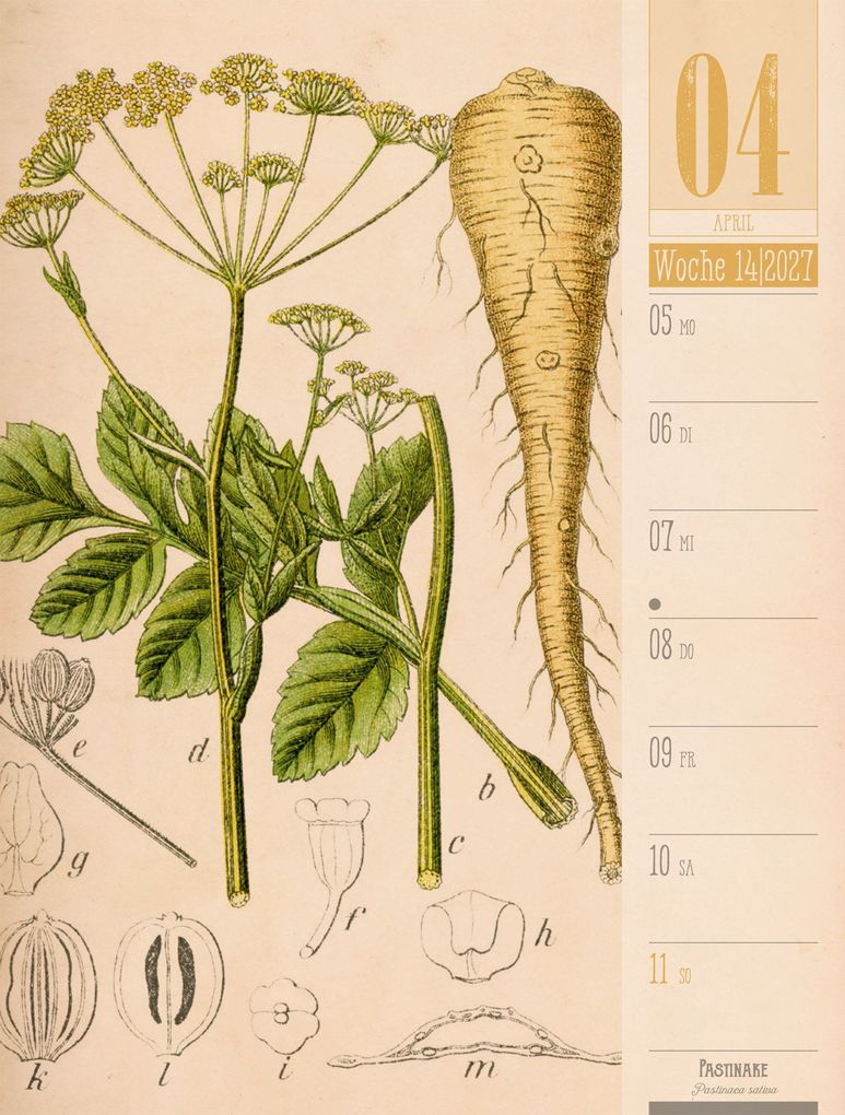 Weitere Ansicht: Culinarium Wochenplaner Kalender 2027 | Küche, Kräuter, Kurioses | Ackermann Kunstverlag GmbH
