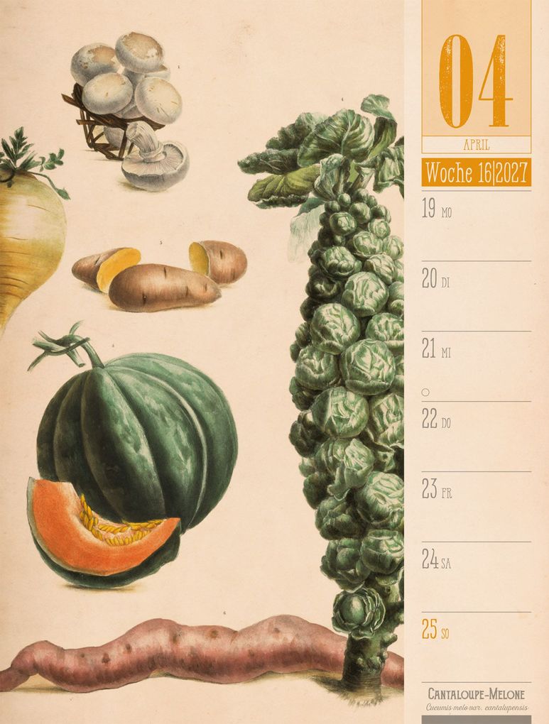 Weitere Ansicht: Culinarium Wochenplaner Kalender 2027 | Küche, Kräuter, Kurioses | Ackermann Kunstverlag GmbH