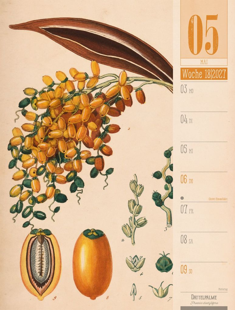 Weitere Ansicht: Culinarium Wochenplaner Kalender 2027 | Küche, Kräuter, Kurioses | Ackermann Kunstverlag GmbH