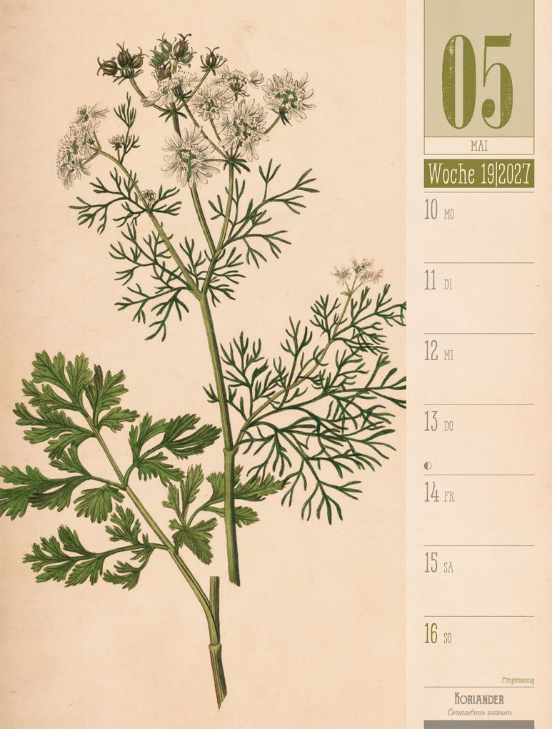 Weitere Ansicht: Culinarium Wochenplaner Kalender 2027 | Küche, Kräuter, Kurioses | Ackermann Kunstverlag GmbH