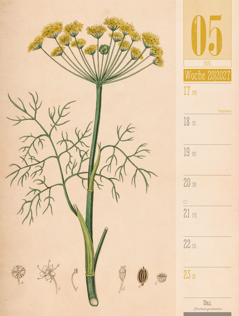 Weitere Ansicht: Culinarium Wochenplaner Kalender 2027 | Küche, Kräuter, Kurioses | Ackermann Kunstverlag GmbH
