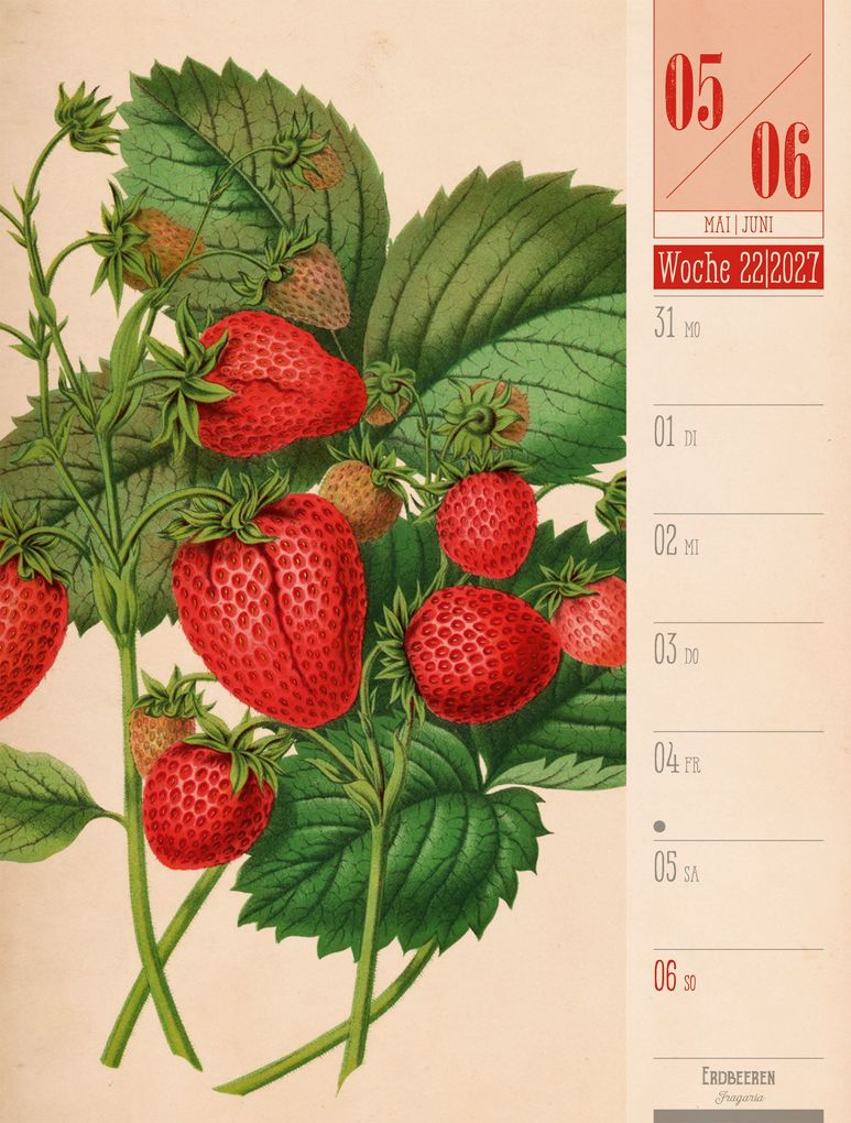 Weitere Ansicht: Culinarium Wochenplaner Kalender 2027 | Küche, Kräuter, Kurioses | Ackermann Kunstverlag GmbH