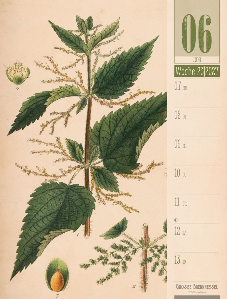 Weitere Ansicht: Culinarium Wochenplaner Kalender 2027 | Küche, Kräuter, Kurioses | Ackermann Kunstverlag GmbH