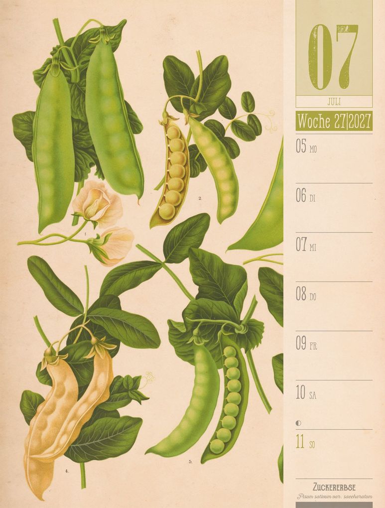 Weitere Ansicht: Culinarium Wochenplaner Kalender 2027 | Küche, Kräuter, Kurioses | Ackermann Kunstverlag GmbH