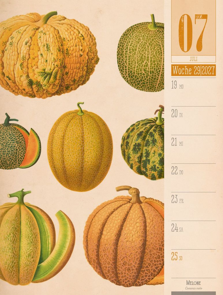 Weitere Ansicht: Culinarium Wochenplaner Kalender 2027 | Küche, Kräuter, Kurioses | Ackermann Kunstverlag GmbH