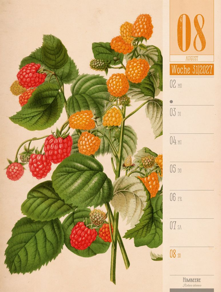 Weitere Ansicht: Culinarium Wochenplaner Kalender 2027 | Küche, Kräuter, Kurioses | Ackermann Kunstverlag GmbH