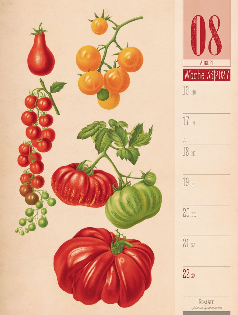 Weitere Ansicht: Culinarium Wochenplaner Kalender 2027 | Küche, Kräuter, Kurioses | Ackermann Kunstverlag GmbH