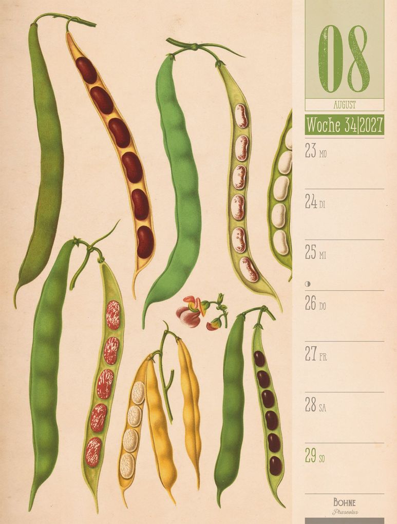 Weitere Ansicht: Culinarium Wochenplaner Kalender 2027 | Küche, Kräuter, Kurioses | Ackermann Kunstverlag GmbH
