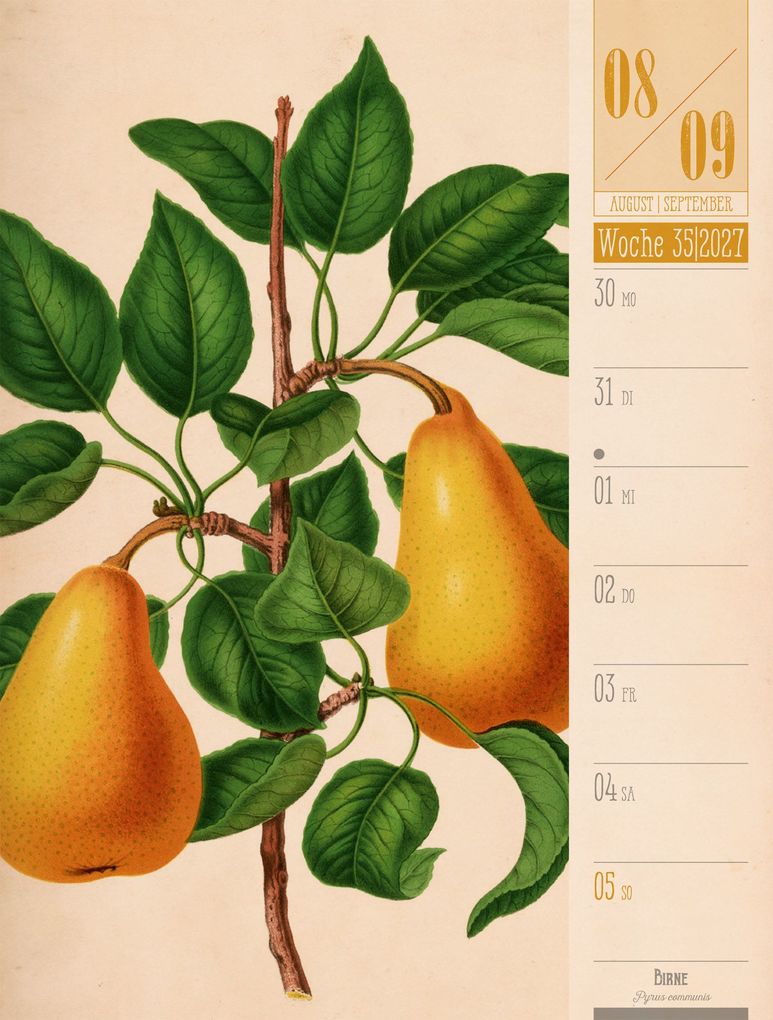 Weitere Ansicht: Culinarium Wochenplaner Kalender 2027 | Küche, Kräuter, Kurioses | Ackermann Kunstverlag GmbH