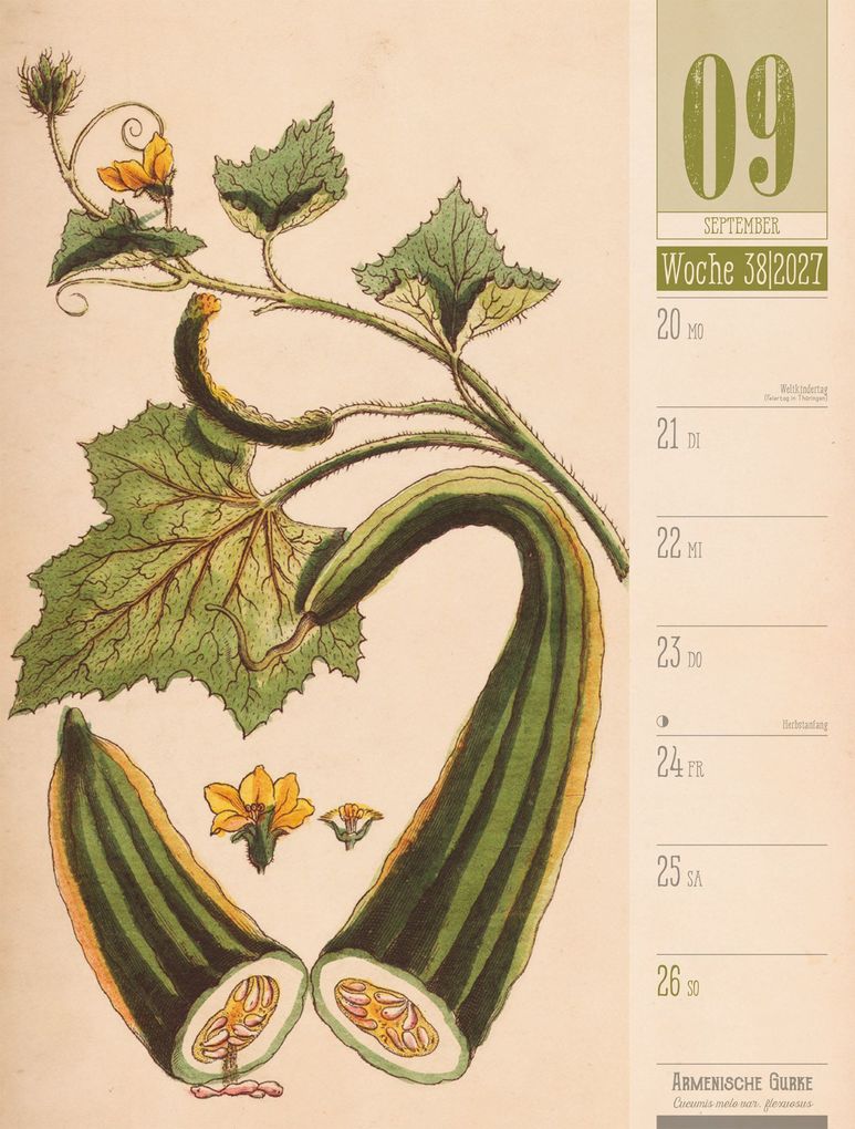 Weitere Ansicht: Culinarium Wochenplaner Kalender 2027 | Küche, Kräuter, Kurioses | Ackermann Kunstverlag GmbH