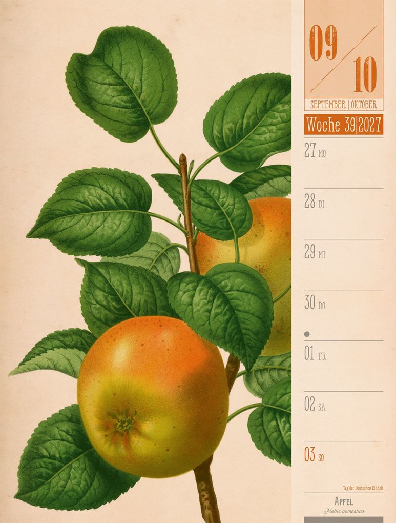 Weitere Ansicht: Culinarium Wochenplaner Kalender 2027 | Küche, Kräuter, Kurioses | Ackermann Kunstverlag GmbH