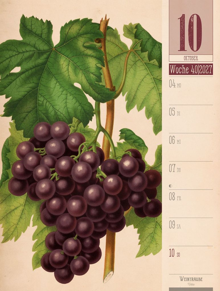 Weitere Ansicht: Culinarium Wochenplaner Kalender 2027 | Küche, Kräuter, Kurioses | Ackermann Kunstverlag GmbH