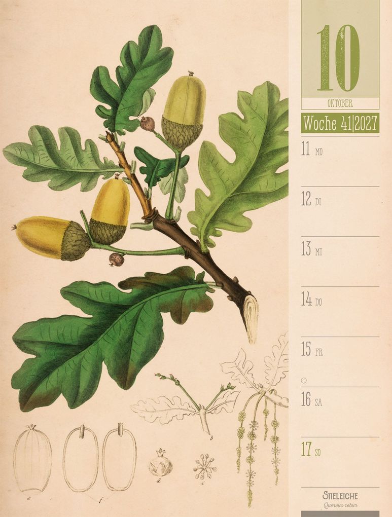 Weitere Ansicht: Culinarium Wochenplaner Kalender 2027 | Küche, Kräuter, Kurioses | Ackermann Kunstverlag GmbH